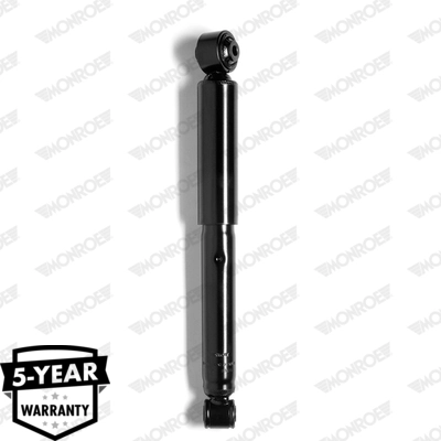 RAISO RS318217