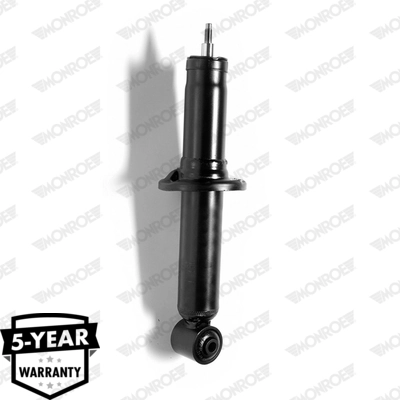 RAISO RS170428