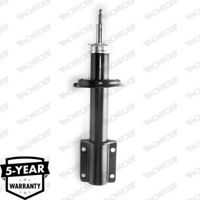 RAISO RS110431
