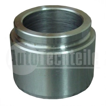 AUTOTECHTEILE 1004270
