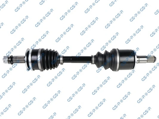 GSP 239163OL