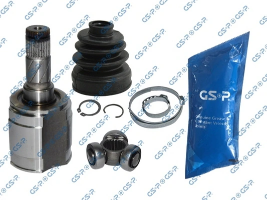 GSP 699113