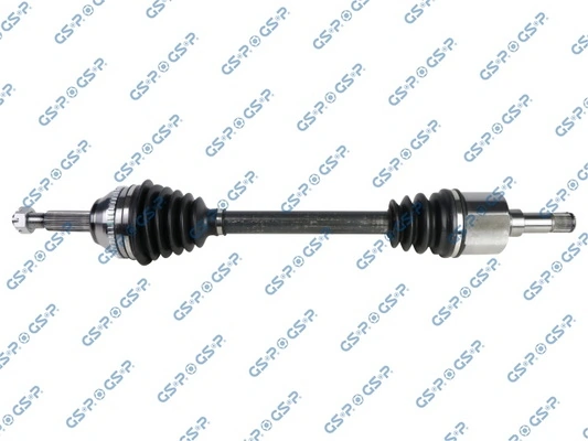 GSP 218455