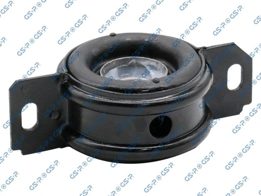 RBI T29650