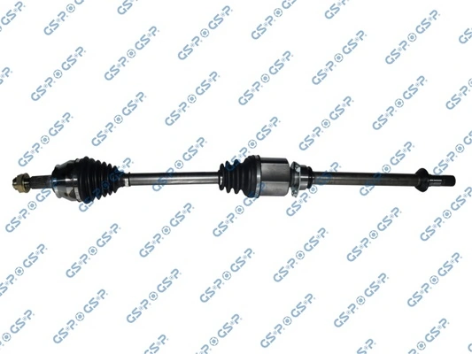 GSP 217061