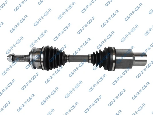GSP 234220