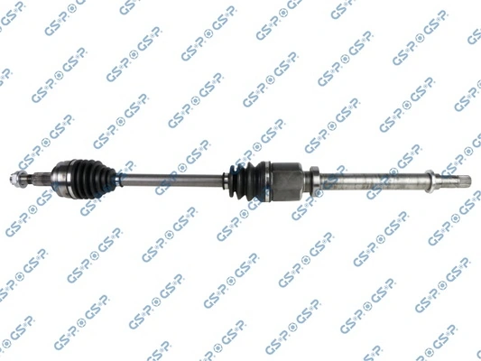 GSP 299229
