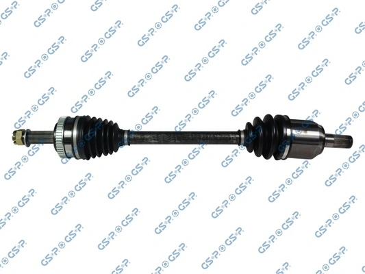 GSP 224231