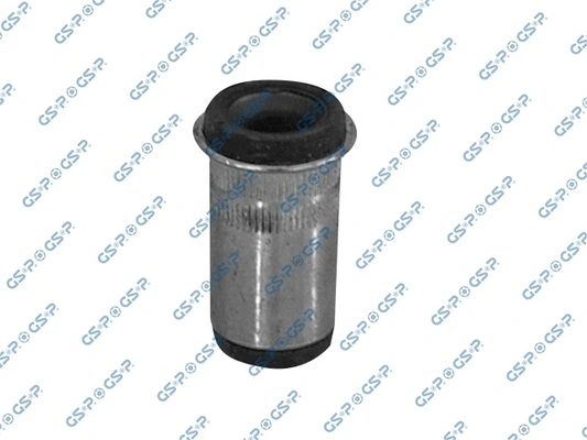 GSP 510896