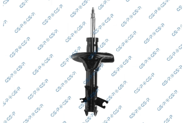 RAISO RS312886