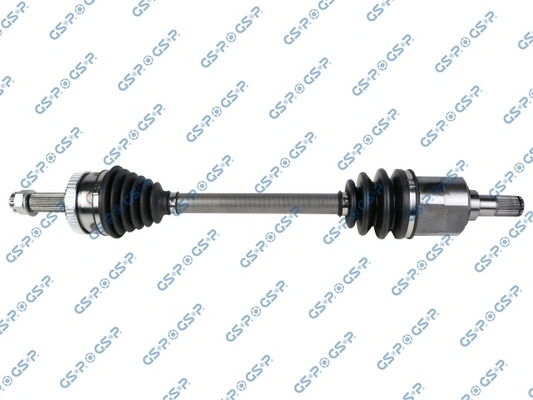 GSP 227232