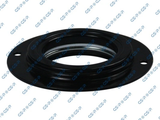 GSP 530561