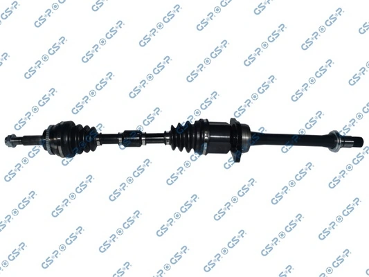 GSP 299106