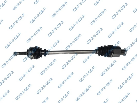 GSP 250245