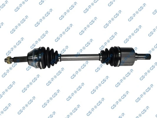GSP 218293