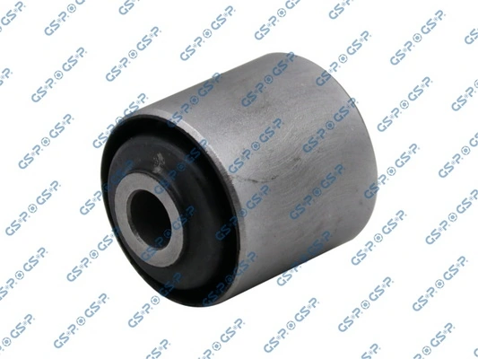 GSP 516676