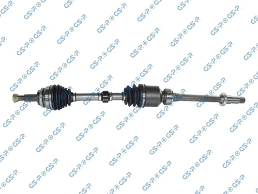 GSP 259323