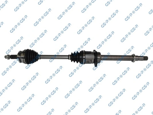 GSP 259662