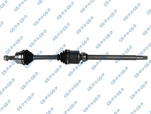 GSP 217153