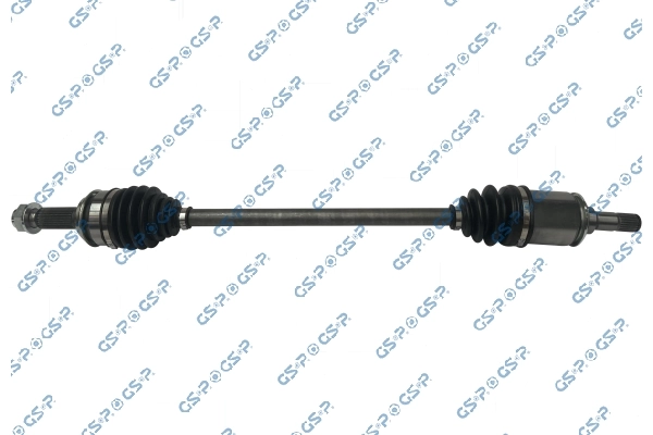 GSP 223199