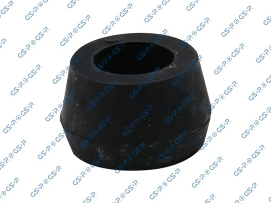GSP 513063