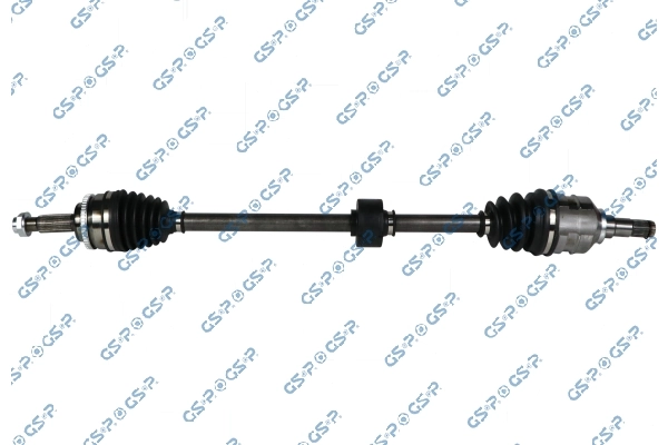GSP 259273