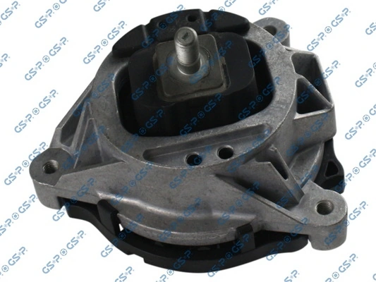 GSP 531462