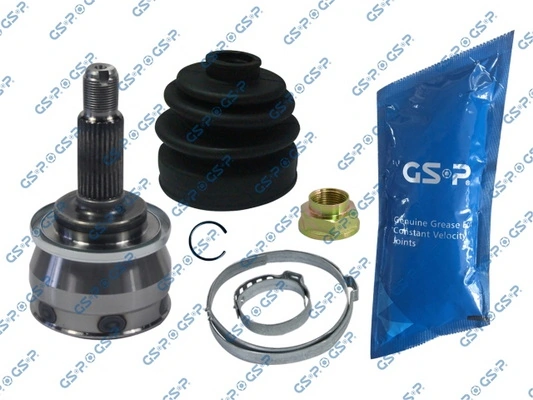 GSP 856004