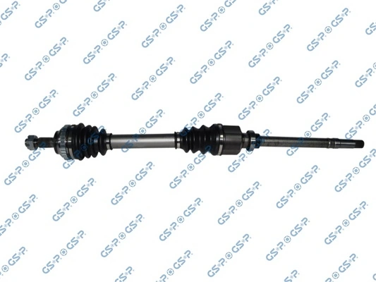 GSP 210019