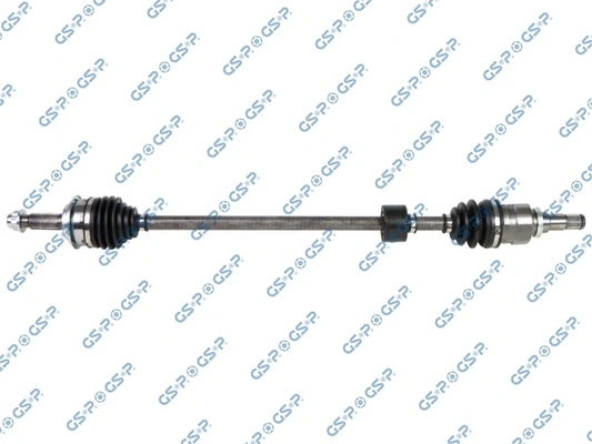 GSP 259666