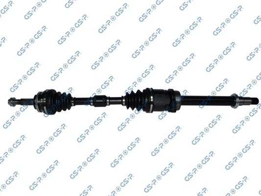 GSP 259519