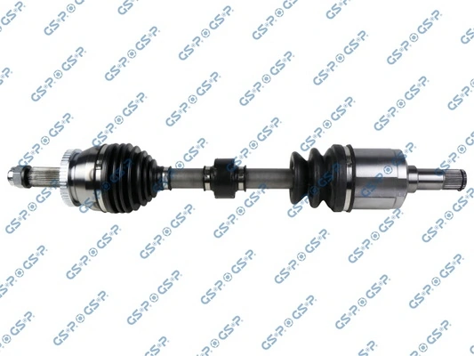 GSP 224462