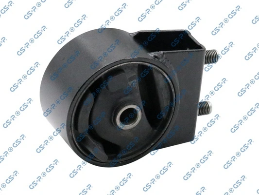 GSP 514669