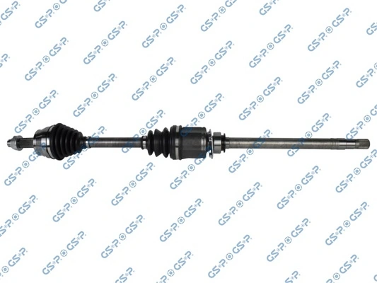 GSP 217157
