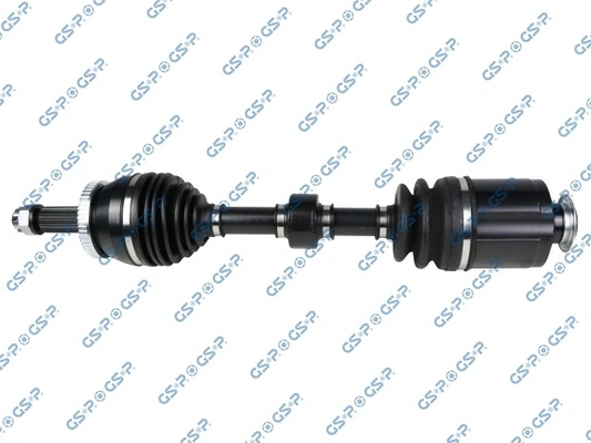 GSP 224561