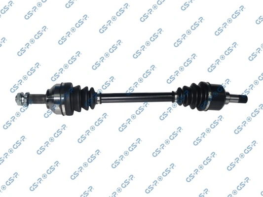 GSP 210310