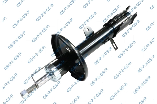 RAISO RS290079