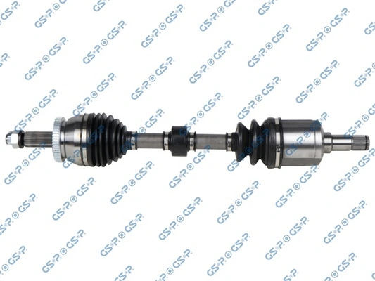 GSP 224460