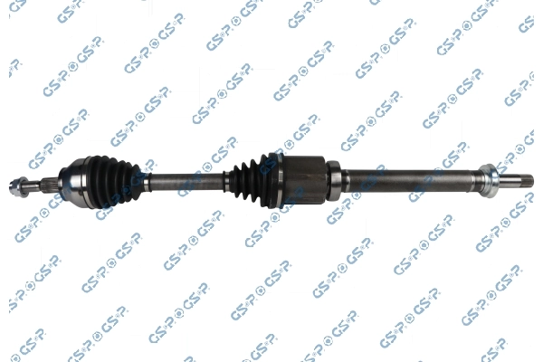 GSP 203992