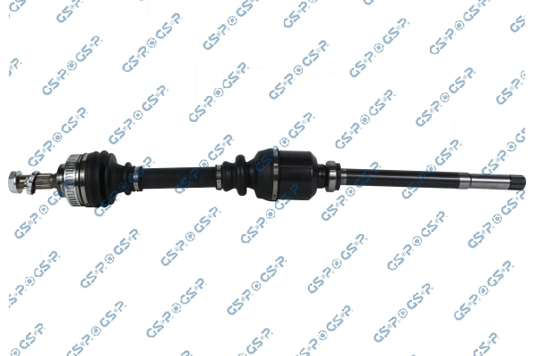 GSP 299196