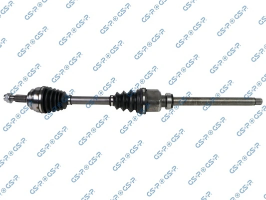 GSP 203808