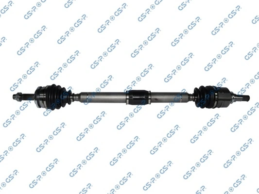 GSP 259317