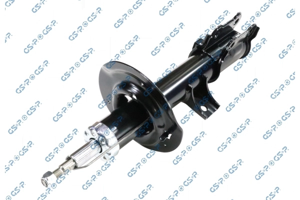 RAISO RS315950