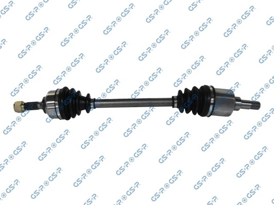 GSP 210311