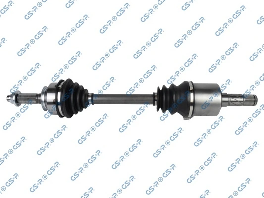 GSP 227065