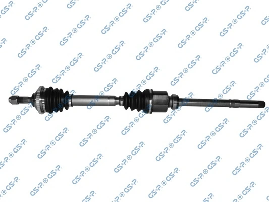 GSP 245010