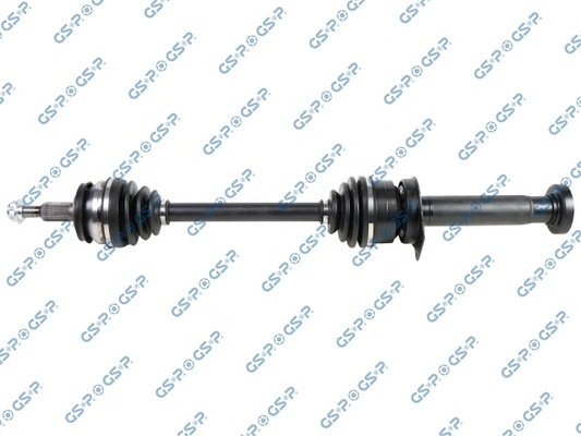 GSP 203261