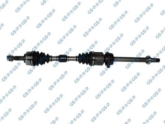 GSP 259172