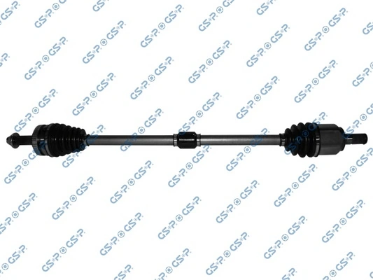 GSP 224261