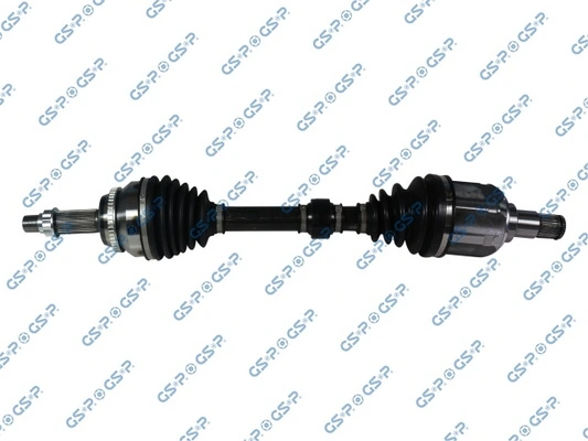 GSP 259324